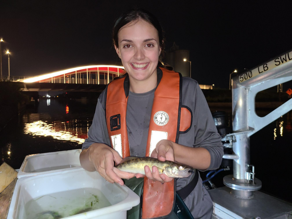 Walleye caught at the Don River mouth, July 2024, © Toronto and Region Conservation Authority.